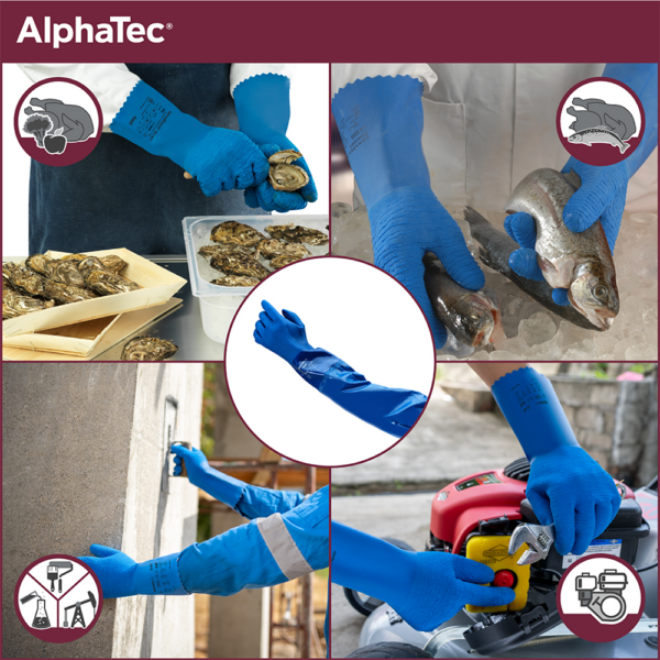 Collage of Ansell VersaTouch 62-401 gloves in various applications including seafood handling, fish processing, and industrial maintenance