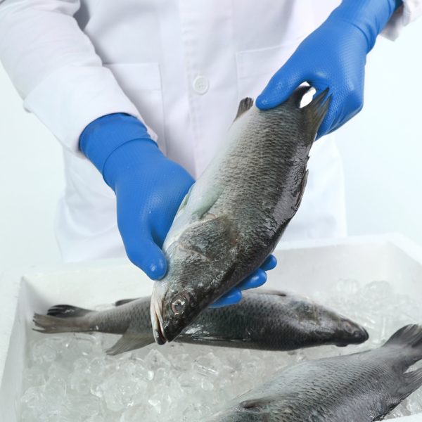 Worker handling raw fish with Microflex 93-283 nitrile gloves in a chilled environment.