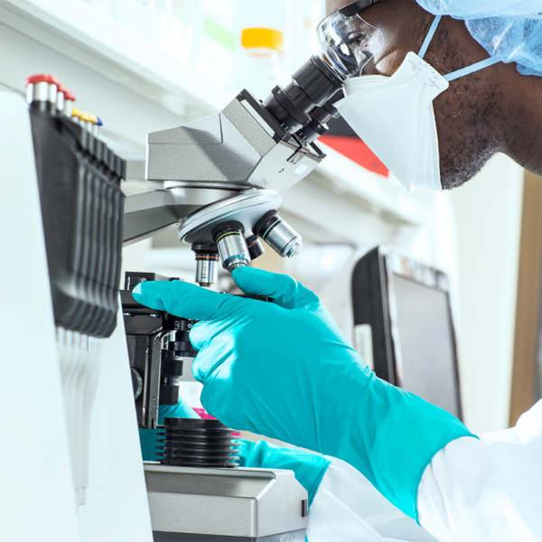 Scientist wearing teal nitrile gloves adjusting microscope in laboratory setting.