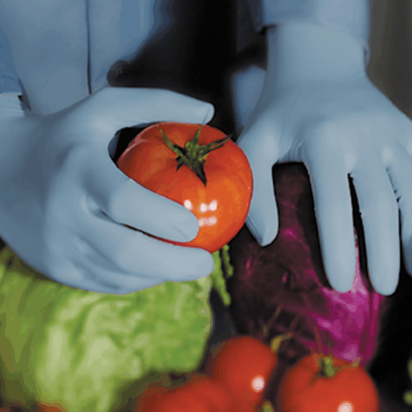 Hands wearing Ansell MICROFLEX 82-134 nitrile gloves handling fresh tomatoes and vegetables in a food preparation setting. Would you like me to provide SEO-friendly filenames for these as well (e.g. ansell-microflex-82-134-nitrile-gloves-food-handling.jpg)? That’ll keep your uploads consistent with your other glove listings and improve Google Image ranking.